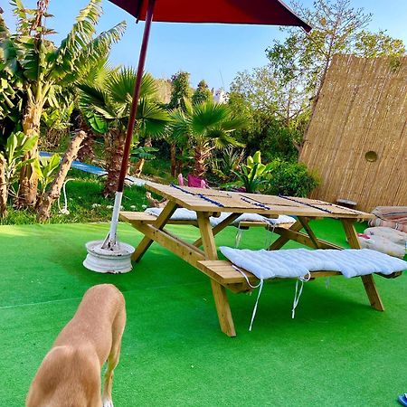 Surf & Salsa Ocean House Bed and Breakfast Tamraght Exteriör bild